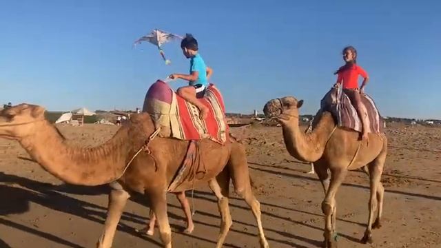 4 февраля 2023 г. смотреть онлайн