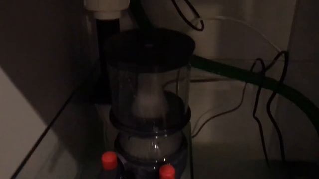 Aqua one mini reef 120 live sand and natural sea water смотреть онлайн