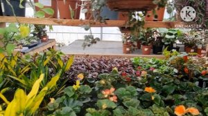 Прогулялась по магазину.🌹🌹🌹🌹🌹🤣🤣