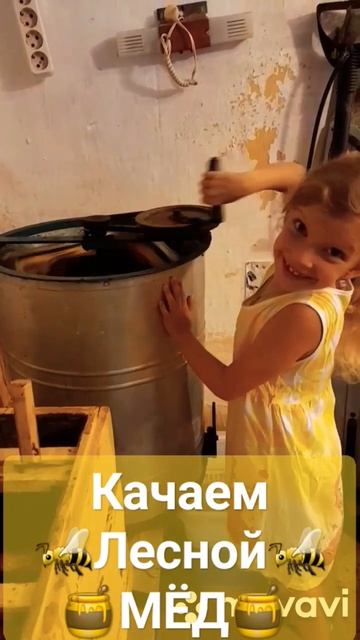 Качаем лесной мёд8.07.2023 #мед #пчелы #пчеловодство #пасека смотреть онлайн