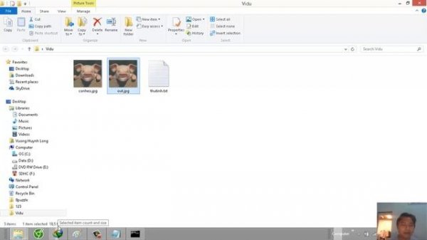 Giấu tập tin txt tiếng việt có dấu (UTF8) vào trong file jpg