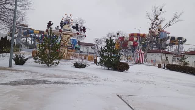 Природа Детский Аттракцион . Голубь на ветке персикового дерева