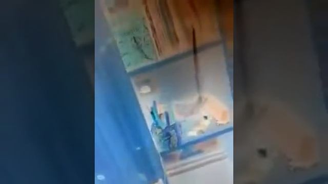 Привет.!!!!!!♡♡♡♡☆☆☆☆ смотреть онлайн
