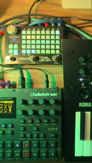 Nights jam melody on Minilogue XD and Digitakt with pedal ZOIA #zoia #empresseffects #digitakt смотреть онлайн