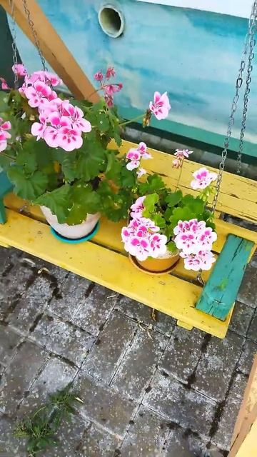 Подставка ДЛЯ ЦВЕТОВ качели #shorts смотреть онлайн