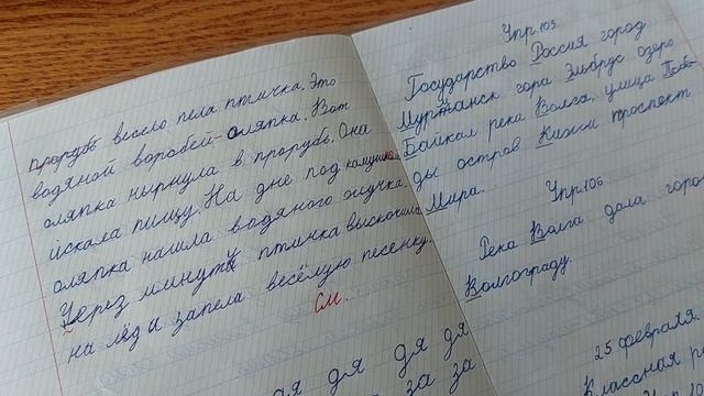 Проверка тетрадей по русскому языку смотреть онлайн