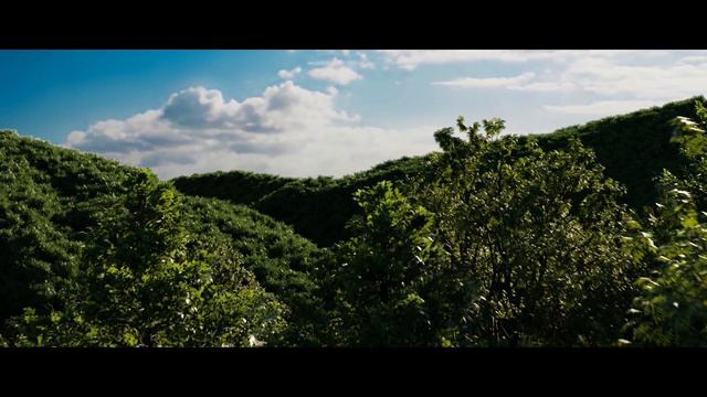 Honore HL ShowReel // Generalist 3D смотреть онлайн