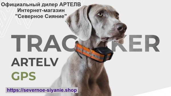 Ошейник для собак с навигацией, GPS-трекер Artelv Tracker на канале "Северное Сияние"