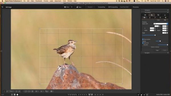 Processing RAW Files in Canon Digital Photo Professional 4