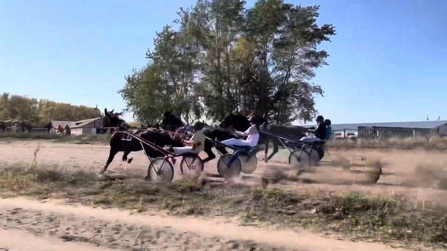 Приз “Элиты” 2 гит. Ипподром “Кулагер” г. Петропавловск. 17.09.2022 смотреть онлайн