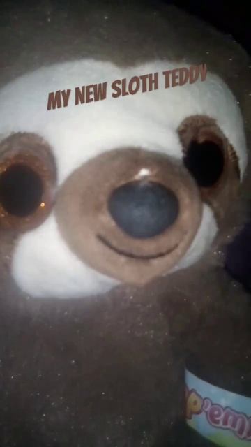 my new sloth teddy#sloth#teddy#sofa смотреть онлайн