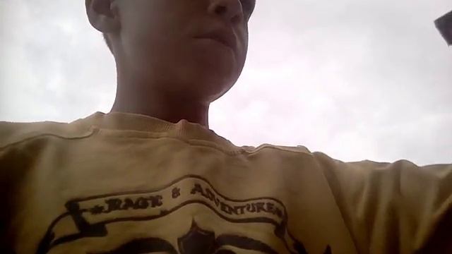 Бой собак , взорвал 9 1литровых банак сока смотреть онлайн