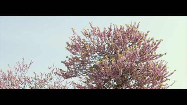 La Parisienne смотреть онлайн