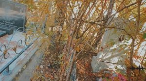 КАК ВСЕГДА ЛЕЖИТ СЕМЬЯ! КЛАДБИЩЕ В ЛИСТВЕ