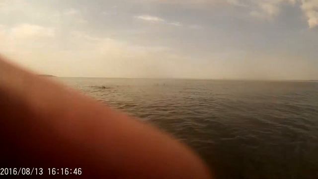 Кременчугское водохранилище смотреть онлайн