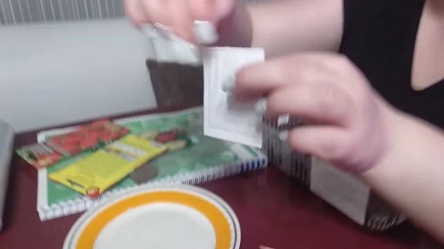 Сажаем клубнику (землянику) из семян. смотреть онлайн