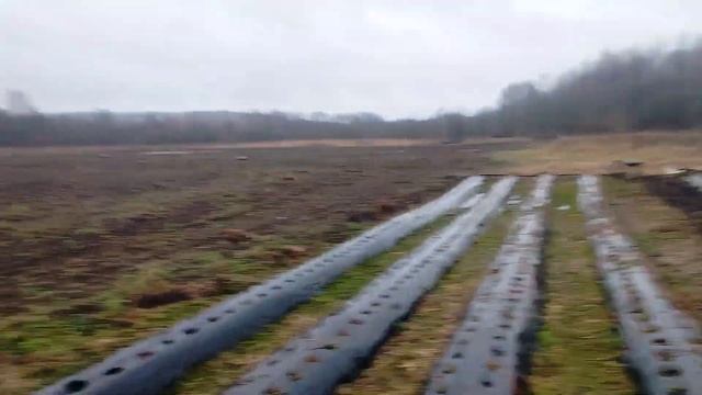 Устройство для чистки клубники для бензокосы