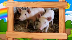 Песенка про животных Развивающая песенка для детей Животные для детей