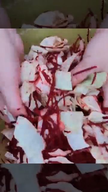 Вкуснейшая капустка которую готовлю круглый год!!! смотреть онлайн