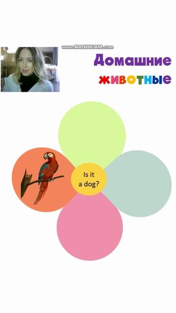 ПРАВИЛЬНО ЛИ Я НАЗВАЛА - урок для детей по английским словам смотреть онлайн