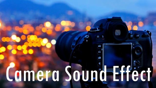 Camera Sound Effect DNA Free Sound Fx смотреть онлайн