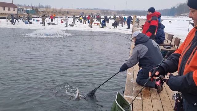 01-03-2025 смотреть онлайн