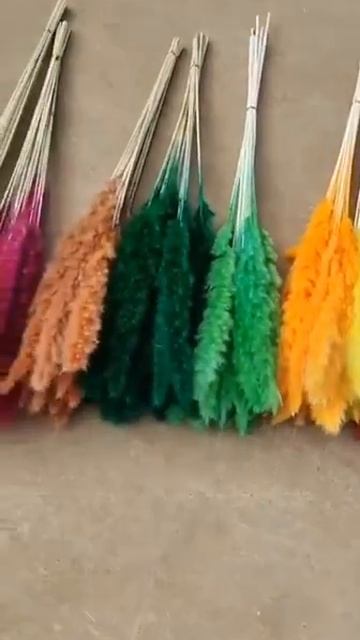Colorful pampas grass for wedding decor смотреть онлайн
