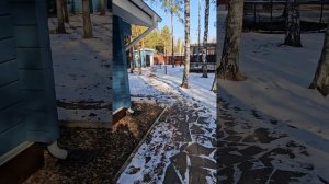 Загородный дом 110м2 в лесу