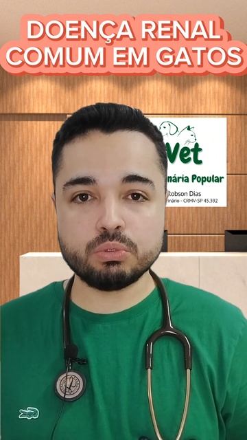 DOENÇA RENAL - Muito comum em GATO #renal #gatos #vet #nefrologia #cat #pets #veterinaria #gato #ca смотреть онлайн