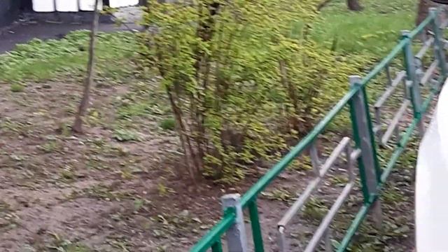 дворяне, конец апреоя 2021(2) смотреть онлайн