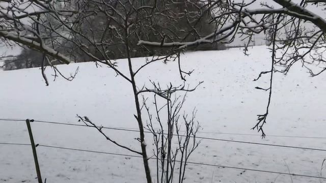 Зимушка Зима! Германия зимой.Зимние Чудеса! смотреть онлайн