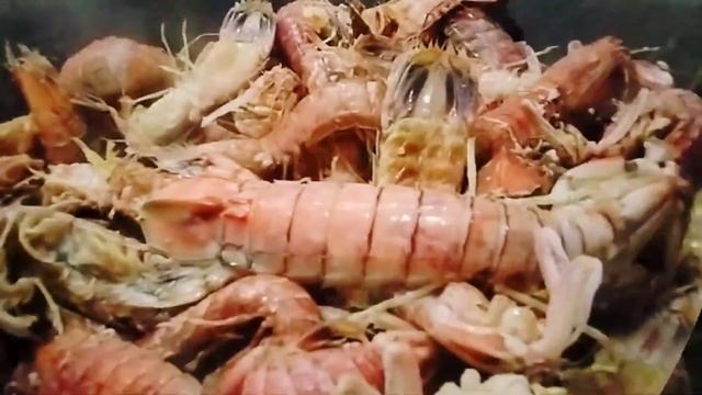 SPOT-TAIL MANTIS SHRIMP (SQUILLA MANTIS) смотреть онлайн