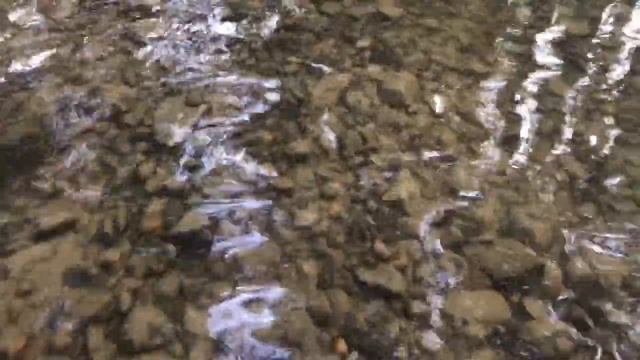 прогулка по ручью и тихой белой воде под аккомпанемент фортепиано. шум воды смотреть онлайн
