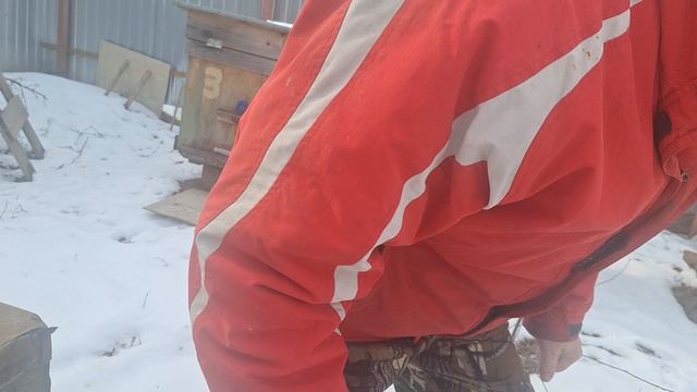 зимовка пчел. смотреть онлайн