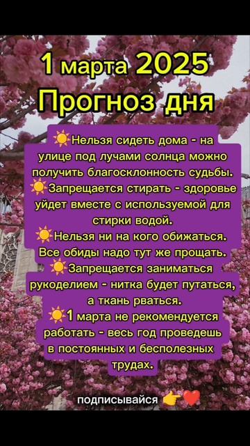 Прогноз дня на 1 марта 2025 смотреть онлайн