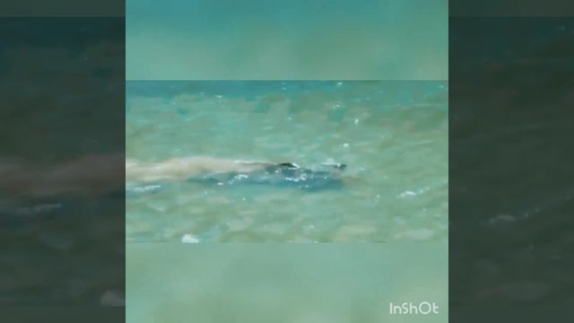 "Лох-несское чудовище" смотреть онлайн