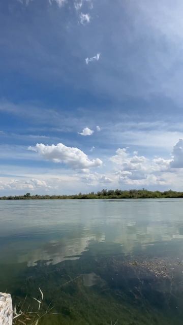 Река Или. Июль 2023. Kazakhstan. Almaty. Nature. Алматы. Кусочки нашей природы. Казахстан. смотреть онлайн