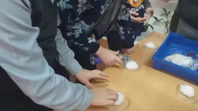 Превращение побегов и корней смотреть онлайн