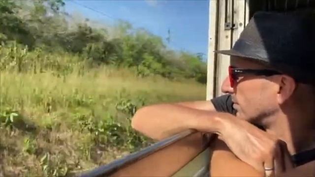 Trance. Hypnosis. What is the difference? смотреть онлайн