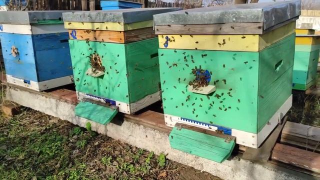 24 января первый легкий очистительный облет проходил примерно при 10 оС. смотреть онлайн