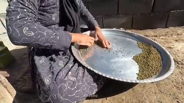 16.12.2023 Построение пути к независимости рецепт матери-одиночки для полноценной жизни смотреть онлайн