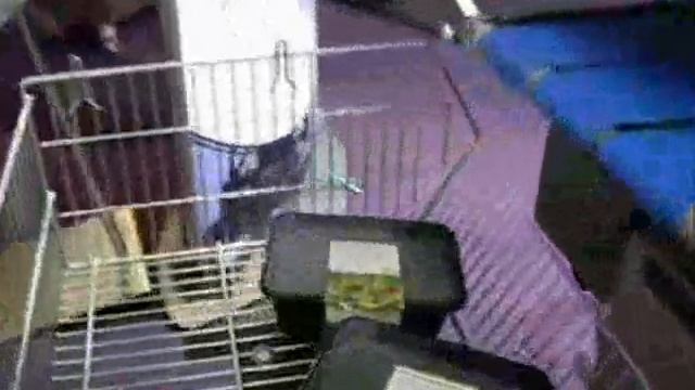 Espera C этикетка смотреть онлайн