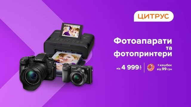 Цитрус фото и видео смотреть онлайн