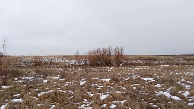 Исчезнувший поселок Шевченко, Ершовский район (панорама).