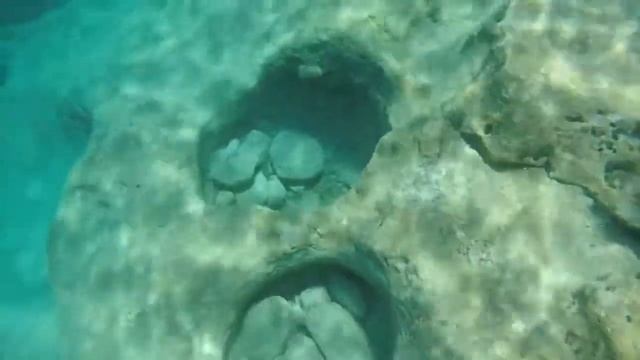 KIDS & SEABIKE смотреть онлайн