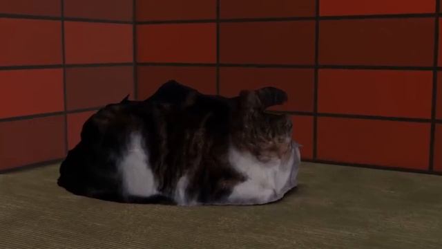 Blender Meshroom Cat смотреть онлайн