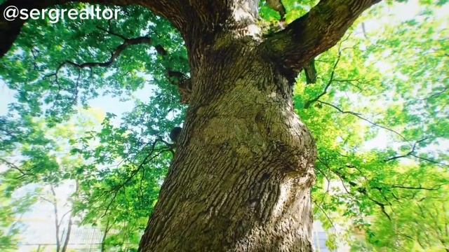 Агой. Квартира у моря по классной цене. Туапсе (Сочи, Краснодар, Черное море) @sergrealtor_krd смотреть онлайн