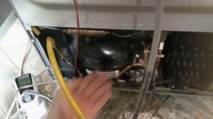 Ремонт холодильника LG не морозит