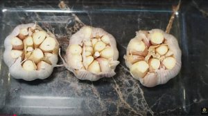 Чесночная закуска. Чесночное масло для бутерброда. Намазка на хлеб.