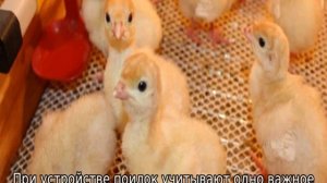 Индюки Хайбрид Конвертер — характеристики